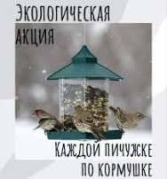 УЧАСТИЕ В В КРАЕВЫХ ЭКОЛОГИЧЕСКИХ АКЦИЯХ УЧАСТИЕ В В КРАЕВЫХ ЭКОЛОГИЧЕСКИХ АКЦИЯХ.